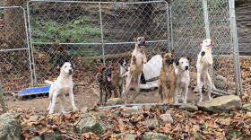 Floyd County Animal Shelter