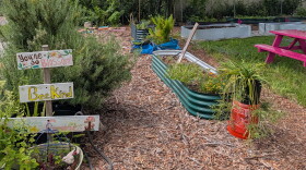 Garden with plants and signs that say "You're so blossom" and "BeeKind" 