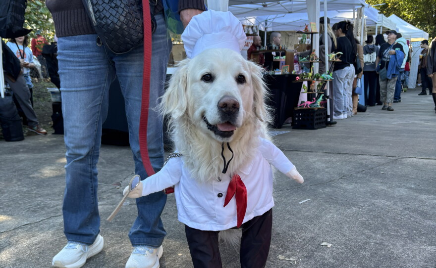 Photos from Porchfest 2026 and Boo-Le-Bark