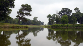 Kyle Bass, a Dallas-area businessman, is suing an East Texas groundwater district to push his project to pump water out of East Texas forward.