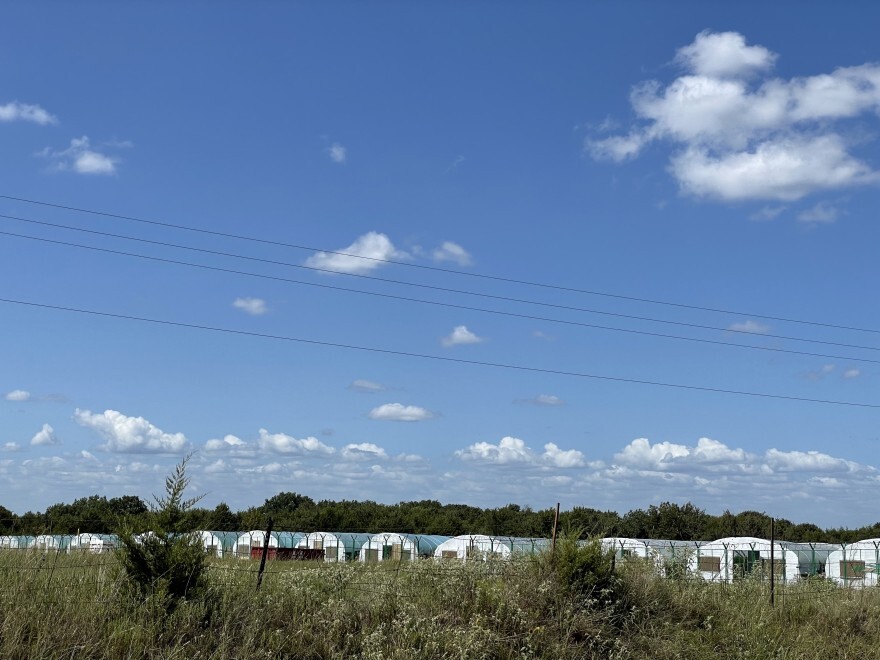 greenhouses_hughescounty.jpg