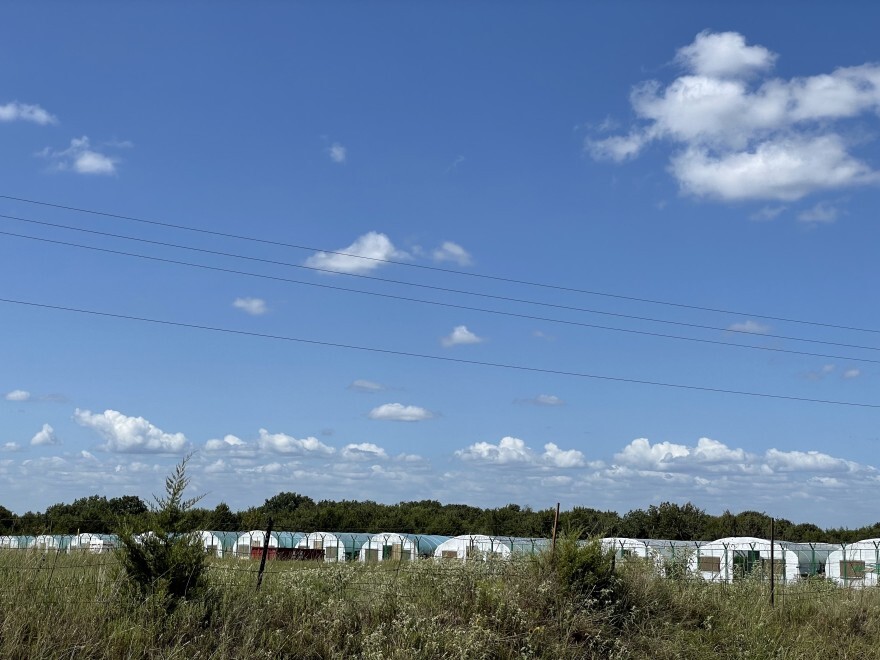 Greenhouses are showing up all over Hughes County in Oklahoma according to Sheldon Tatum, who is a rural water district manager in the county.