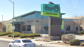 Animal Foundation