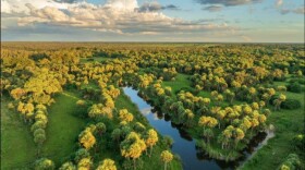 More than ten thousand acres have been added to the Florida Wildlife Corridor in Collier and Hendry counties since March, including this property