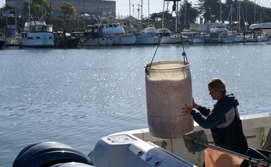 Sienna Cunningham moves freshly caught fish off the boat to the Sea Harvest dock. Cunningham is 19 years odl and also Deyerle's niece. 2025 is the first year she has relied on commercial fishing as her main income source.