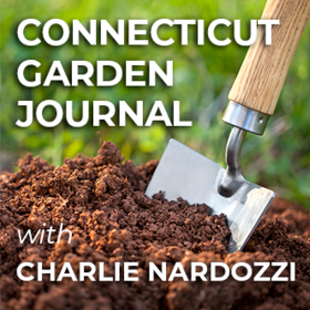 Connecticut Garden Journal logo