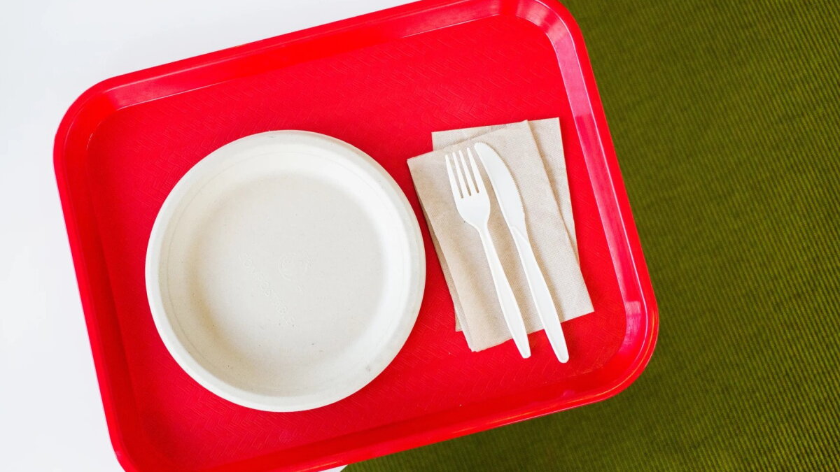 Rapid City Stevens alumni take lead in paying schools lunch debt - Vimarsana News
