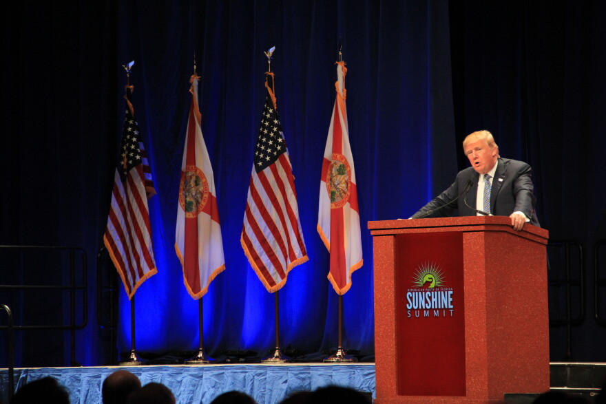 Donald Trump speaks at GOP Sunshine Summit in Orlando, Florida on Nov. 13, 2015. (Ariella Phillips/WUFT News)