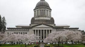 Pedestrians walk in the rain near the Legislative Building, Tuesday, March 28, 2017, at the Capitol in Olympia, Wash., as cherry trees display their spring blossoms. CREDIT: TED S. WARREN/AP