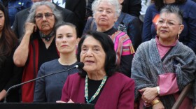 Huerta began her career as an activist in 1955 when she co-founded the Stockton chapter of the Community Service Organization, leading voter registration drives.
