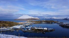A village on the ocean with a volcano in the background