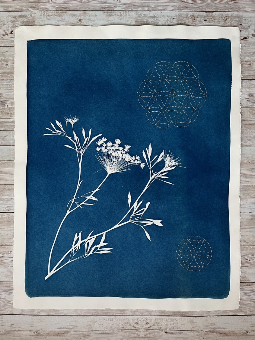 All images courtesy of Nina Veteto, all rights reserved.