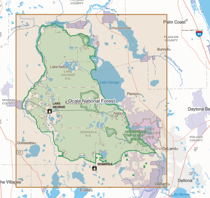 The Ocala National Forest, shown above, features more than 600 lakes and rivers, according to the U.S. Forest Service. It is one of three national forests in Florida, along with the Osceola and Apalachicola National Forests.