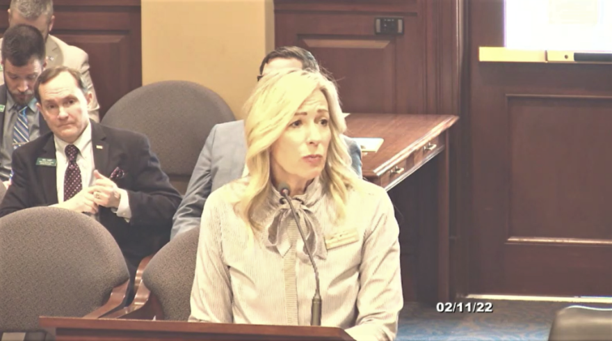Idaho Rep. Gayann DeMordaunt, R-Eagle, presents on Feb. 11 to the Idaho House Business Committee, of which she is a member. (Screenshot via Idaho Public Television)