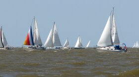 Dauphin Island Regatta