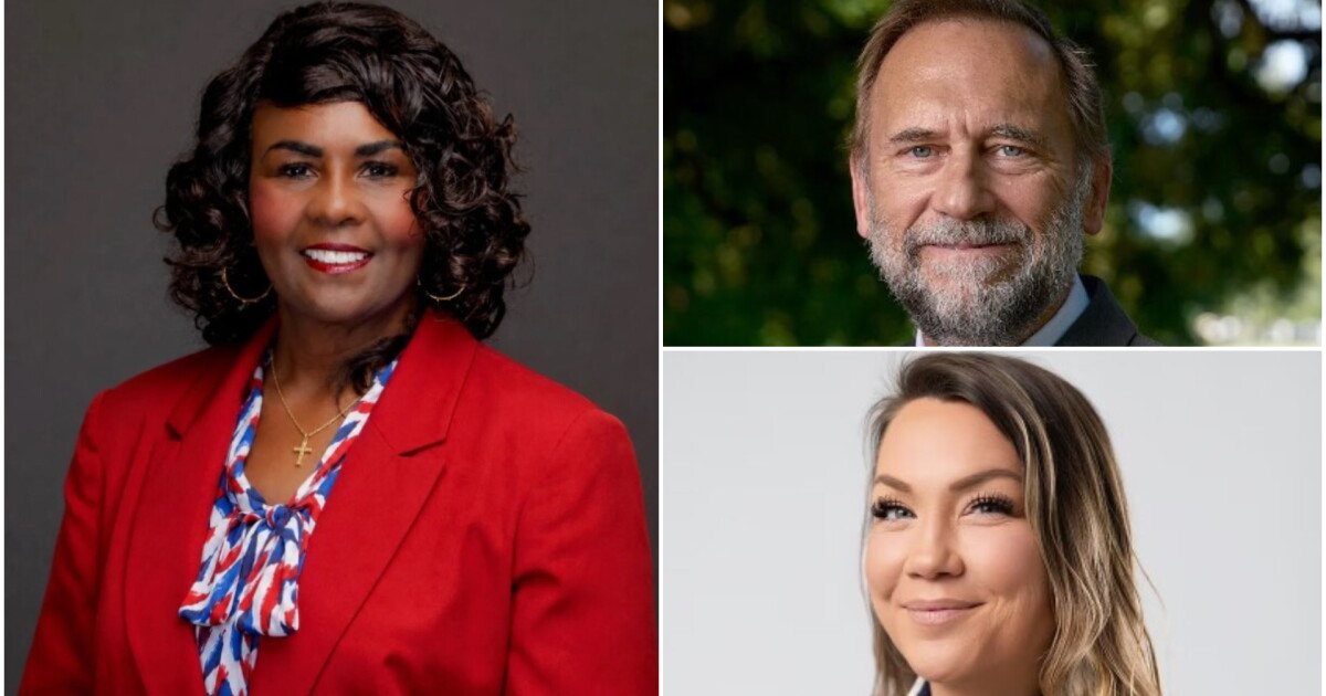 Nov. 3 Election Guide: Meet the 6th Congressional District candidates