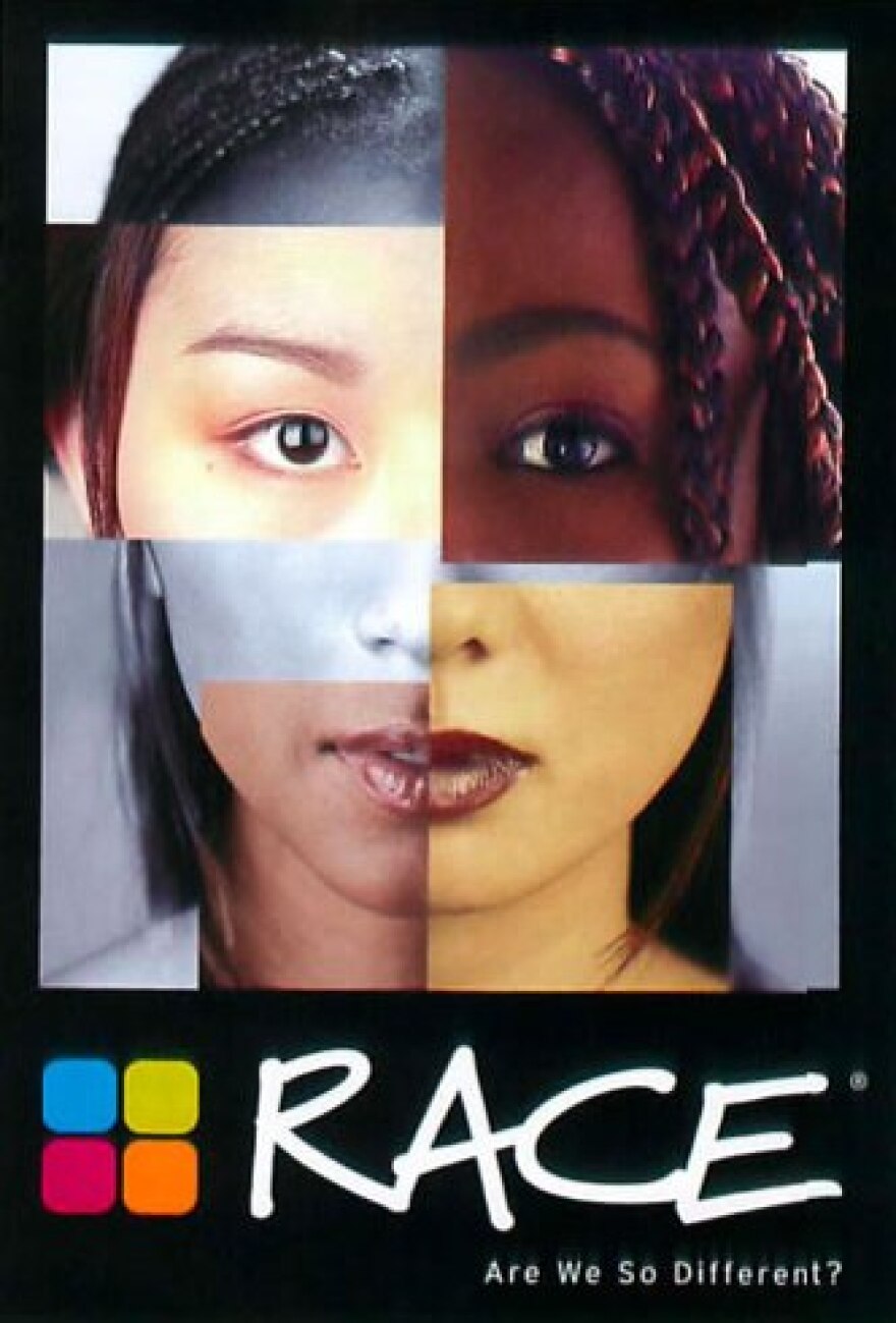 understandingrace.org 