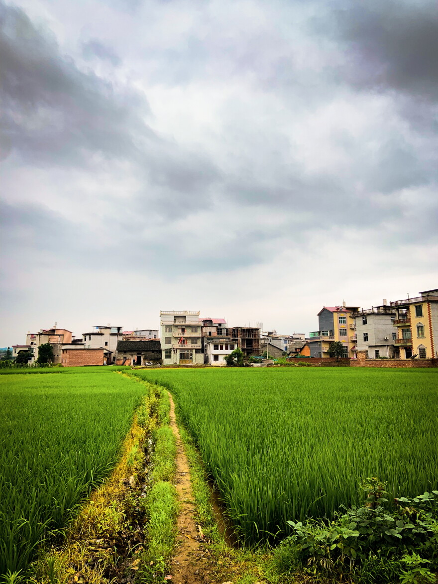 BEST LANDSCAPE (TIE) - This photo is a depiction of a tiny rice farming village named Zhoutou, which is located in the Chinese providence of Jiangxi. It is the village in which my father was born 52 years ago.