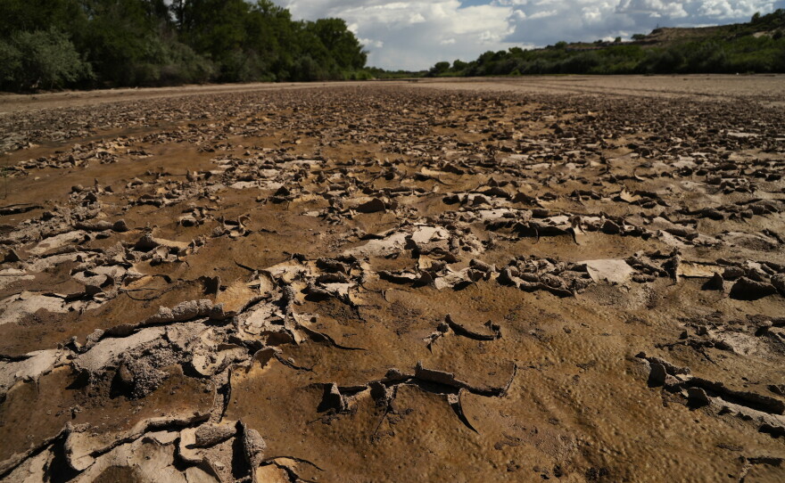 Cracks are visible in the dry Rio Grande riverbed Tuesday, July 26, 2022, in Albuquerque, N.M. Years of drought, scorching temperatures and an unpredictable monsoon season are zapping what's left of its habitat, leaving officials with little recourse but to hope for rain. (AP Photo/Brittany Peterson)