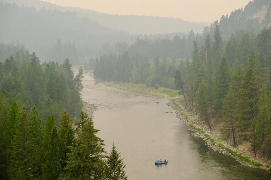 Fire ecologists on both sides of the border say more logging isn't a 'silver bullet' solution to wildfires.