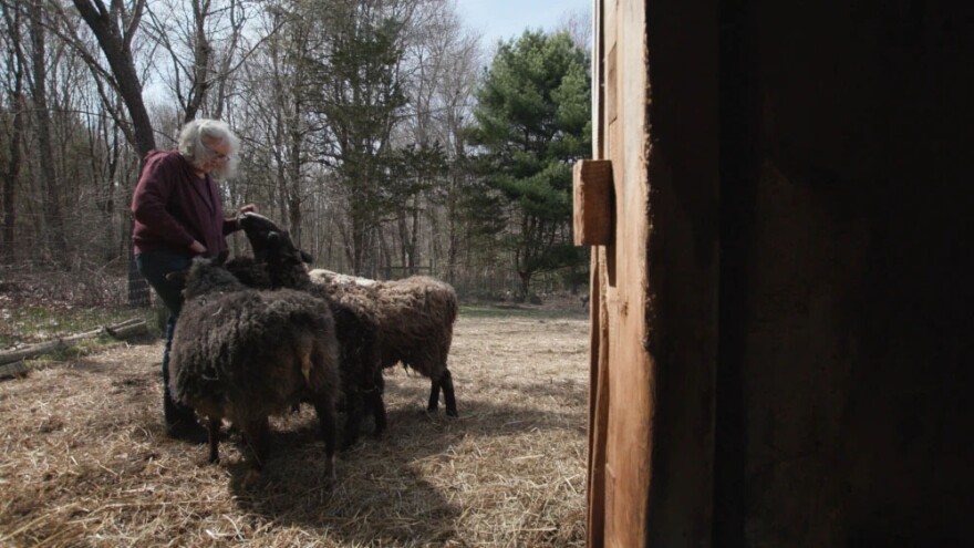 Izzy’s grandmother and her flock