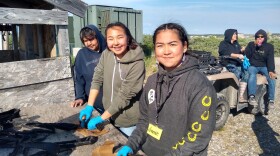 a group of students cutting seal meat outside