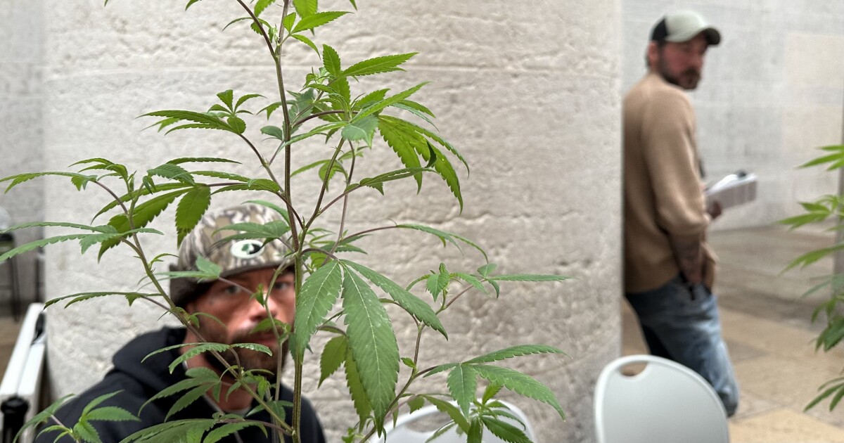 Ohio lawmakers advance overnight deal on cannabis, hemp law overhaul