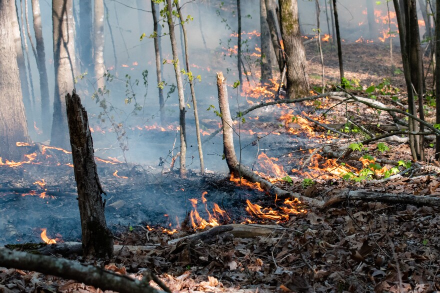 “Building black” refers to the charred earth on the other side of the fire line.