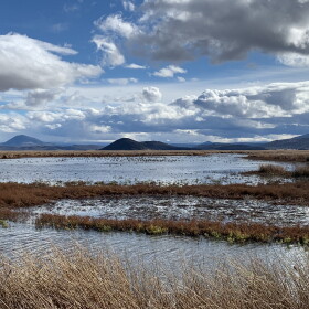 Lower Klamath Wildlife Refuge in 2021