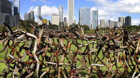 With a partial view of the Chicago Skyline as a backdrop, Lucy Slivinski's "Hedgerow" sculpture, made of automobile exhaust pipes and reflectors sits in Grant Park in Chicago, Illinois on SEPT 15, 2011.