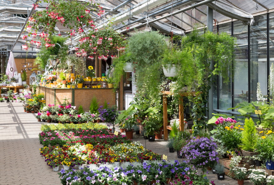 Vermont Garden Journal It's Time For The Vermont Flower Show Vermont