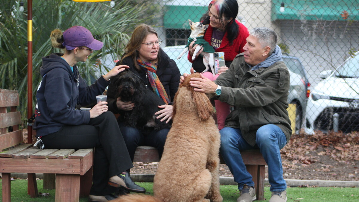 In the face of financial troubles, dog lovers unite to save local bar - Vimarsana News