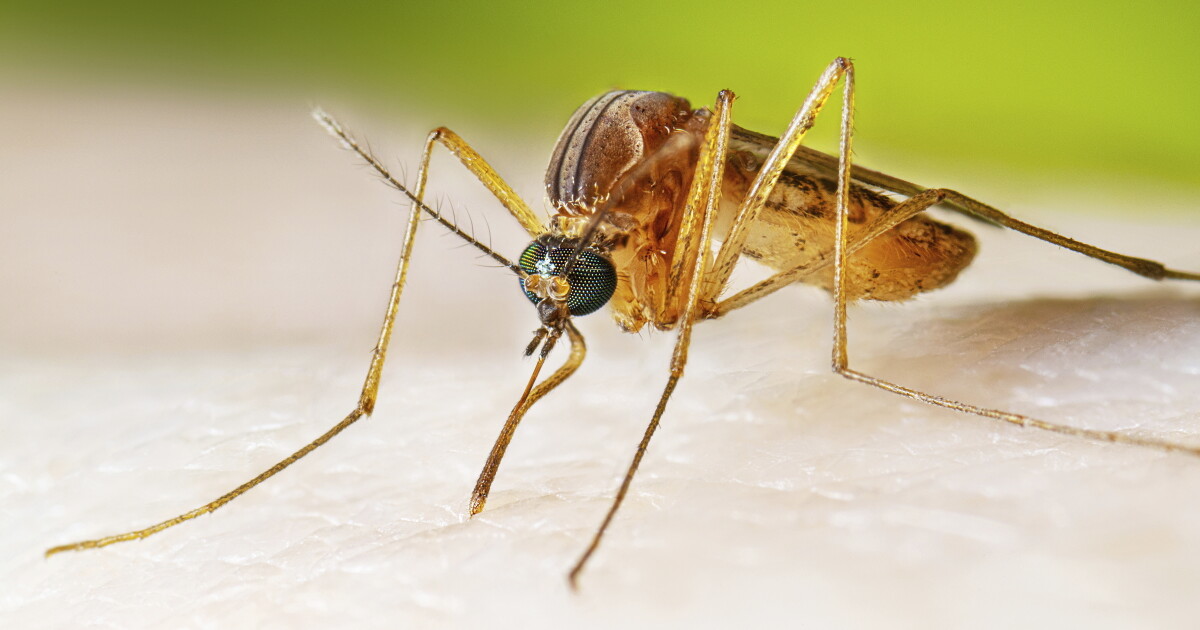State health department confirms first Eastern Equine Encephalitis ...