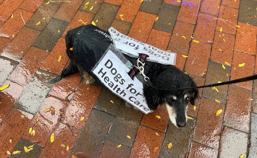 A dog joined the protest.