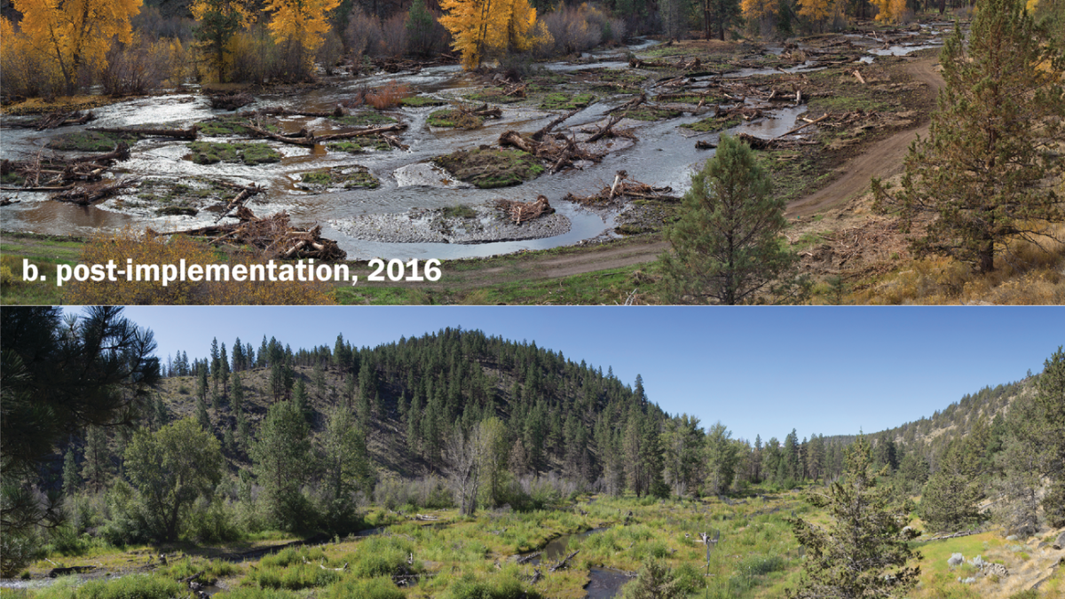 Watershed restoration increasingly seen as important tool for wildland firefighters