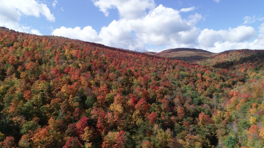 A mountainside covered in trees at the start of fall foliage, mostly in browns and reds and yellows, sits in the foreground. Behind it, a ridge goes back, of peaks that get ever higher. The sky above is blue with fluffy white clouds.