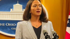 Rep. Greta Johnson (D-Akron) speaks at a news conference in August 2016.