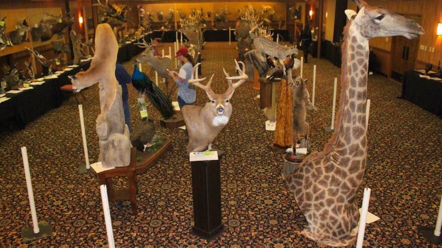 SD Taxidermy Association Convention