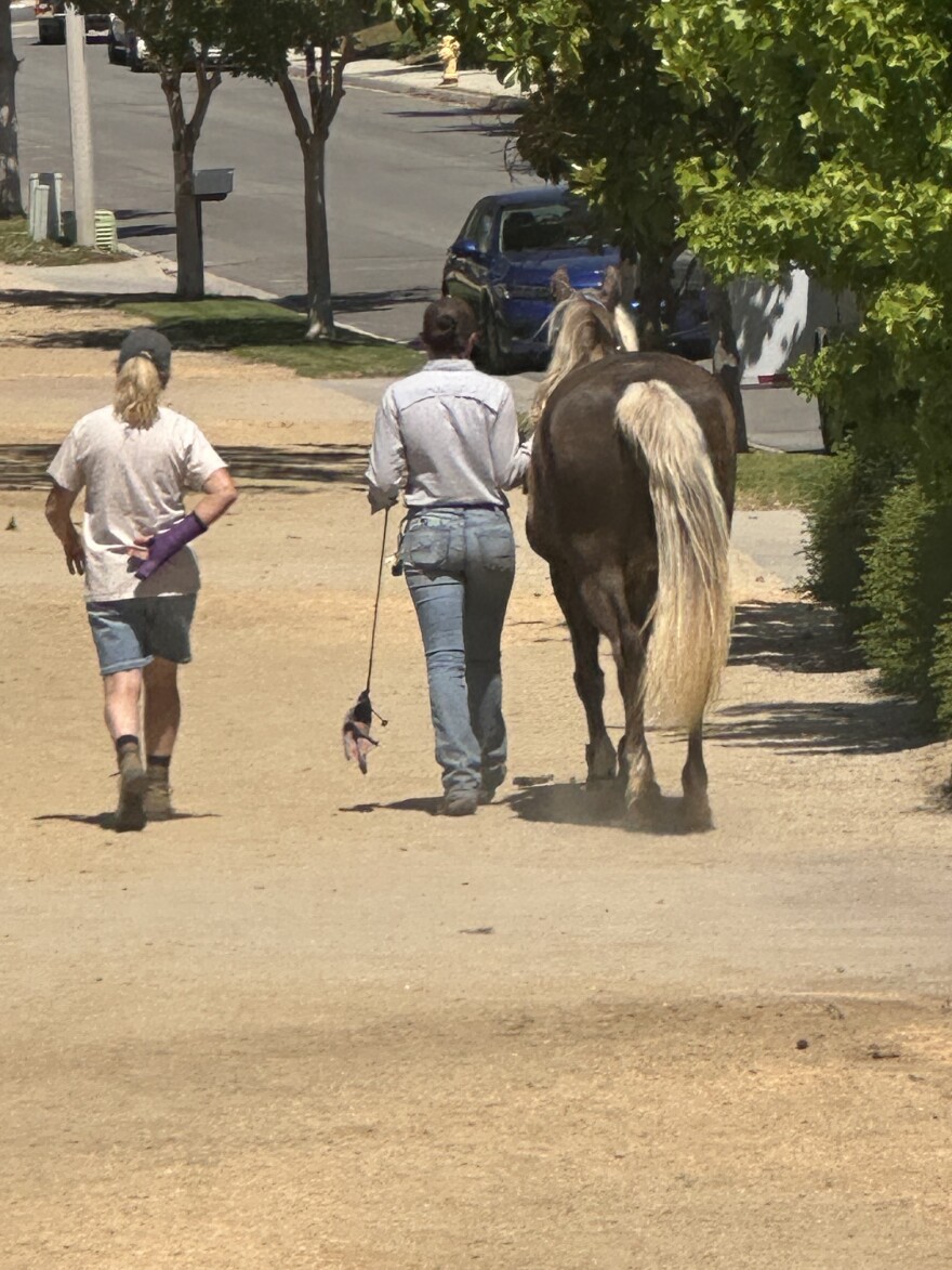 A woman who evacuated with her horse from the Sandy Fire returns to her Rocking Horse Drive home Thursday.
