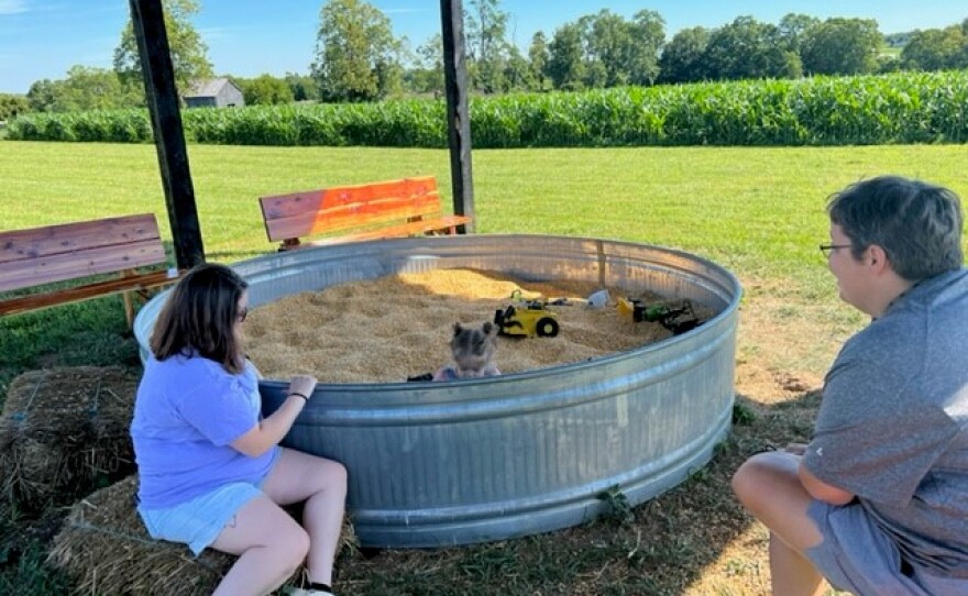 Corn pit in family fun area on Stepping Stone Farm