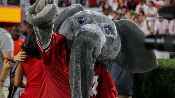 Alabama mascot Big Al reacts during the first half of an NCAA college football game against Georgia, Saturday, Sept. 27, 2025, in Athens, Ga. (AP Photo/Colin Hubbard)