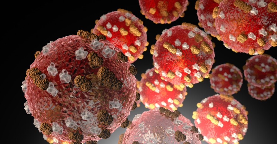 An illustration of the measles virus, which spreads easily through coughing and sneezing and can infect people before symptoms appear.