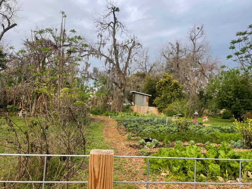 Porters Community Farm, located in Gainesville’s historic Porters community, was the site of Saturday’s launch event. “Giving volunteering hours and time back into the Porters Quarters Community Farm…is super important,” said Rhiannon O’Donnell, who developed the tool. (Hannah Getman/WUFT News)