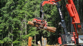A harvester crane processes a log on a thinning project in the Mount Baker-Snoqualmie National Forest. The project was led by the Washington State Department of Natural Resources, the result of growing efforts by state agencies to conduct work on federal land. President Donald Trump’s plans to increase logging on federal lands will depend heavily on states’ cooperation, experts say