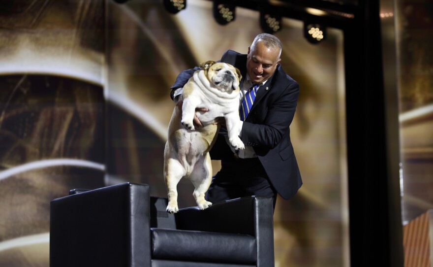 Gov. Jim Justice's dog, Babydog, is brought out on stage during the session at the Fiserv Forum for the Republican National Convention in Milwaukee, Wis., Tuesday, July 17, 2024. (Ashleigh Lucas/WUFT News)