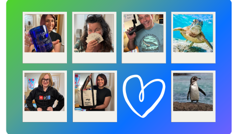 blue and green gradient image with polaroids of someone holding cards, another a blue glass, another carrying a tote, and a woman wearing a sweatshirt, and a man wearing a t-shirt.