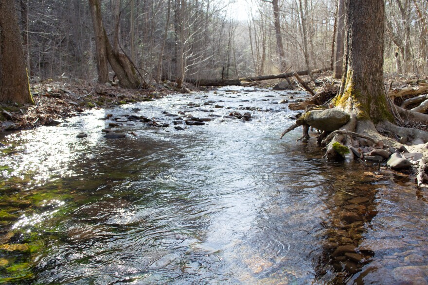 Briery Branch is one of many streams in the proposed National Scenic Area that contribute to local residents' water supply.