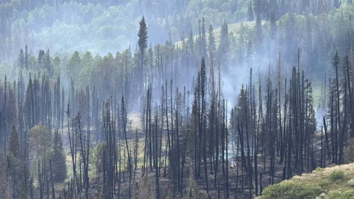 Thunderstorms, heavy rain help contain Wasatch County's Buck Basin Fire