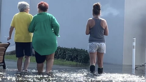 Hollywood residents wade through a king tide