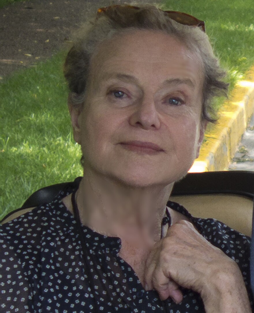 Diane Johnson's previous books include <em>Le Divorce</em>, <em>Le Mariage</em> and <em>L'Affaire</em>.